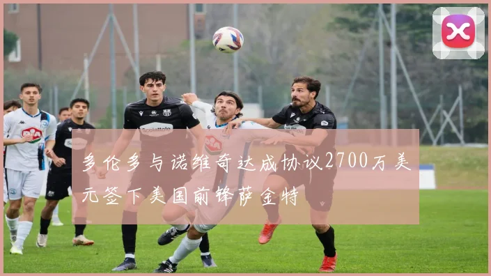 多伦多与诺维奇达成协议2700万美元签下美国前锋萨金特